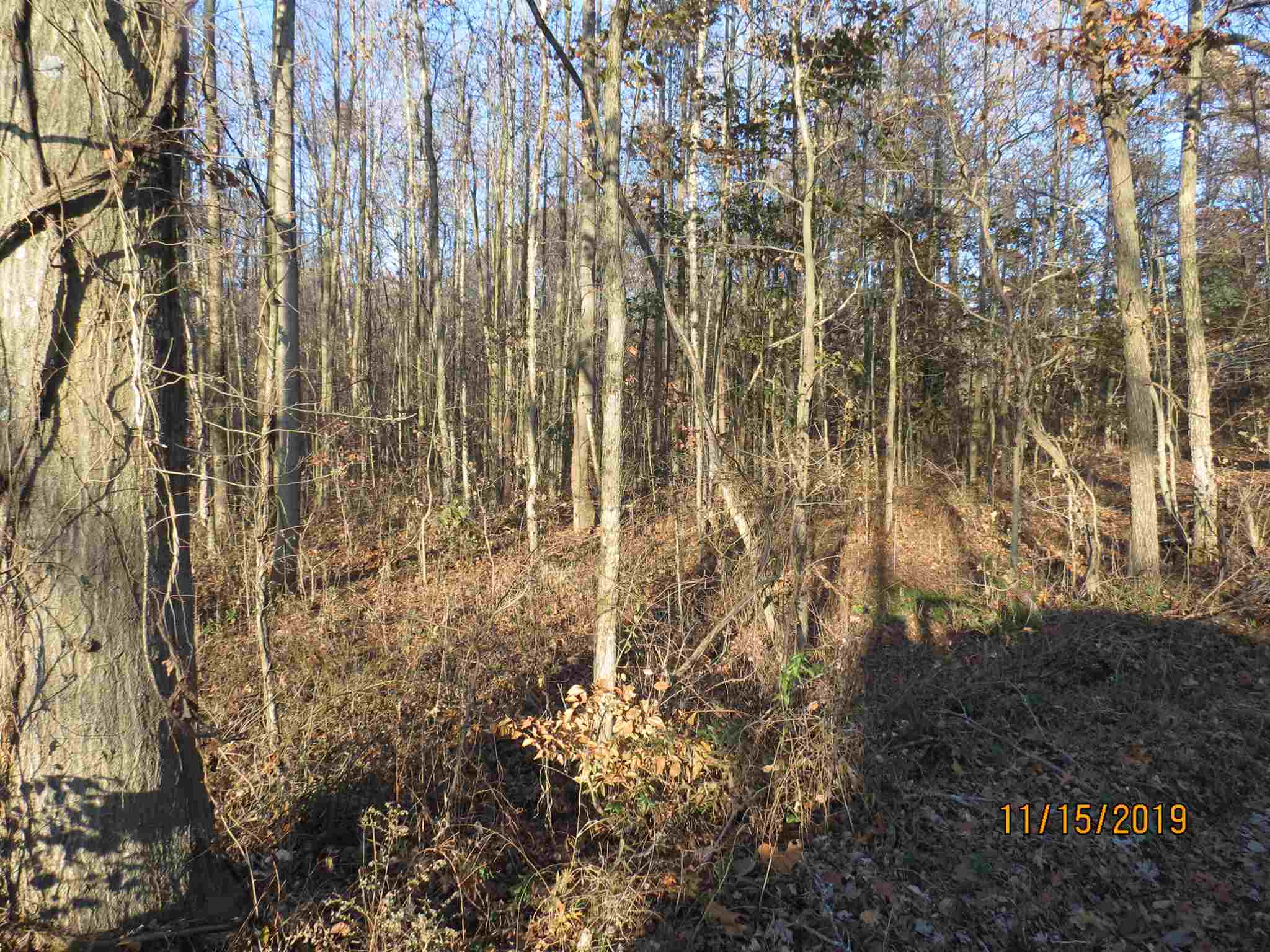 50 South W Co Road Petersburg, IN 47567 - Photo 1 of 1 Gallery Image 1