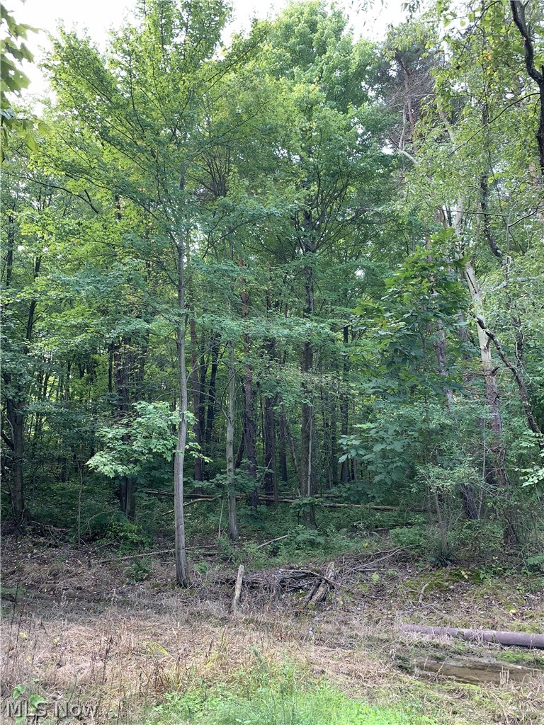 Tabor Ridge Road Mineral City, OH 44656 - Photo 20 of 33 Gallery Image 20