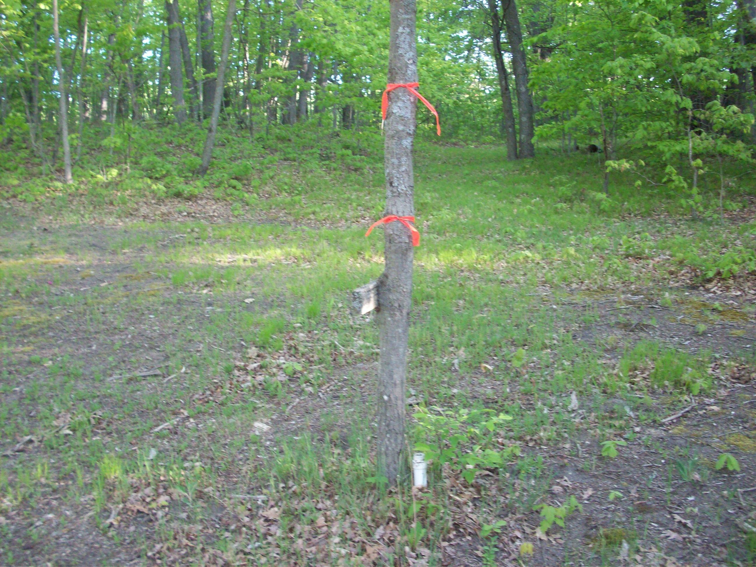 25-26 East Barx Road Chase, MI 49623 - Photo 2 of 9 100_6173