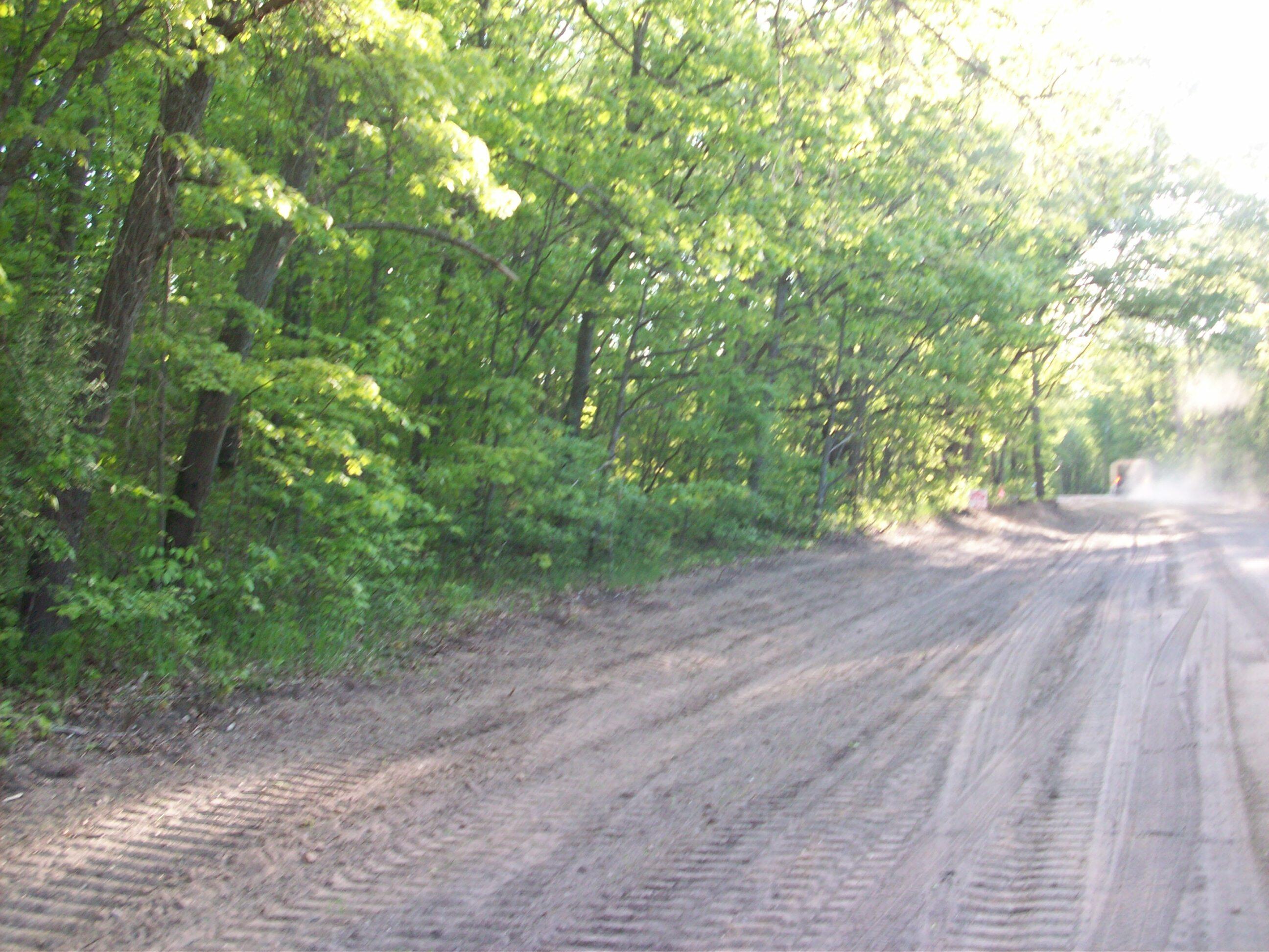 25-26 East Barx Road Chase, MI 49623 - Photo 3 of 9 100_6174