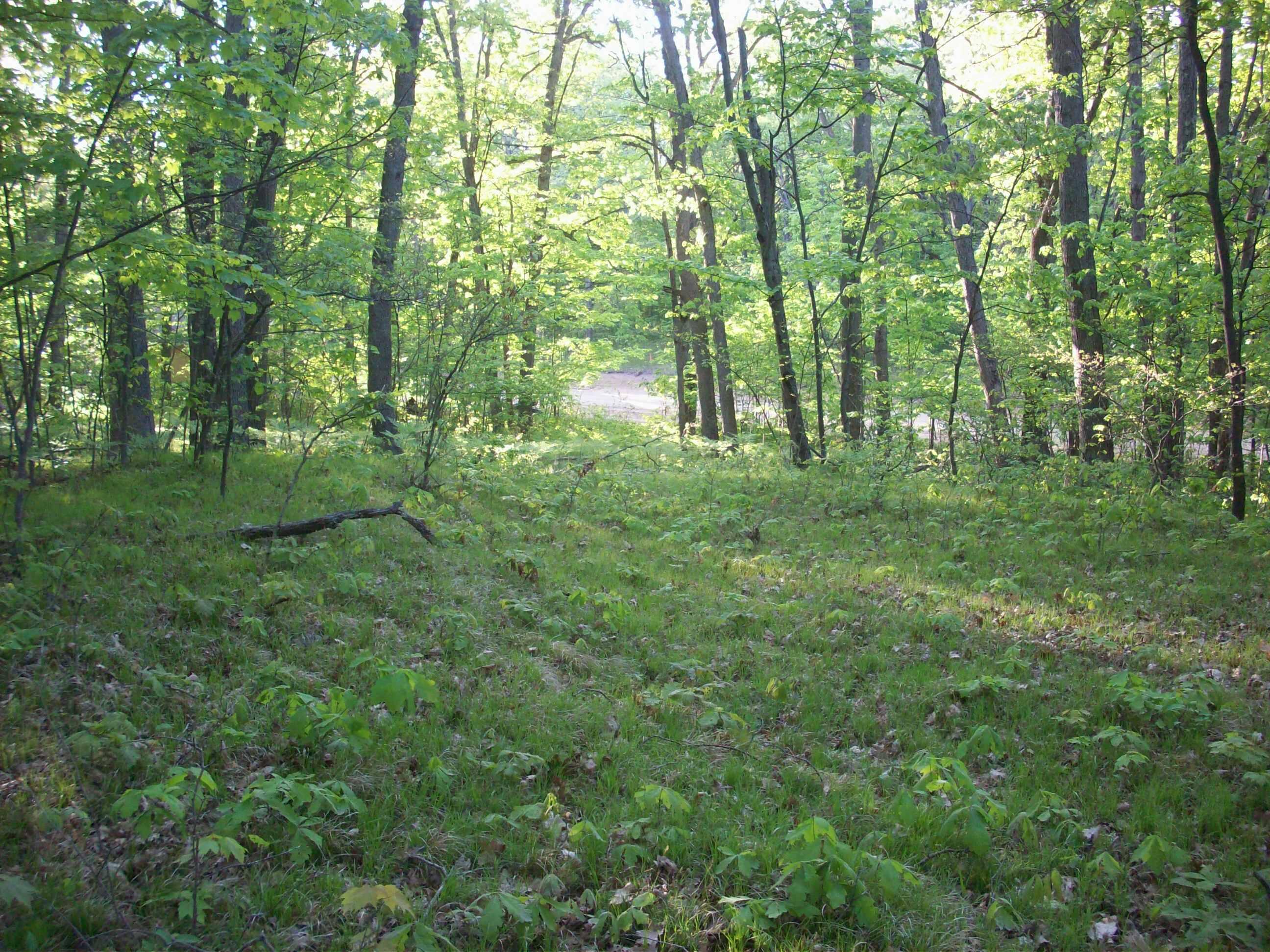 25-26 East Barx Road Chase, MI 49623 - Photo 4 of 9 100_6170