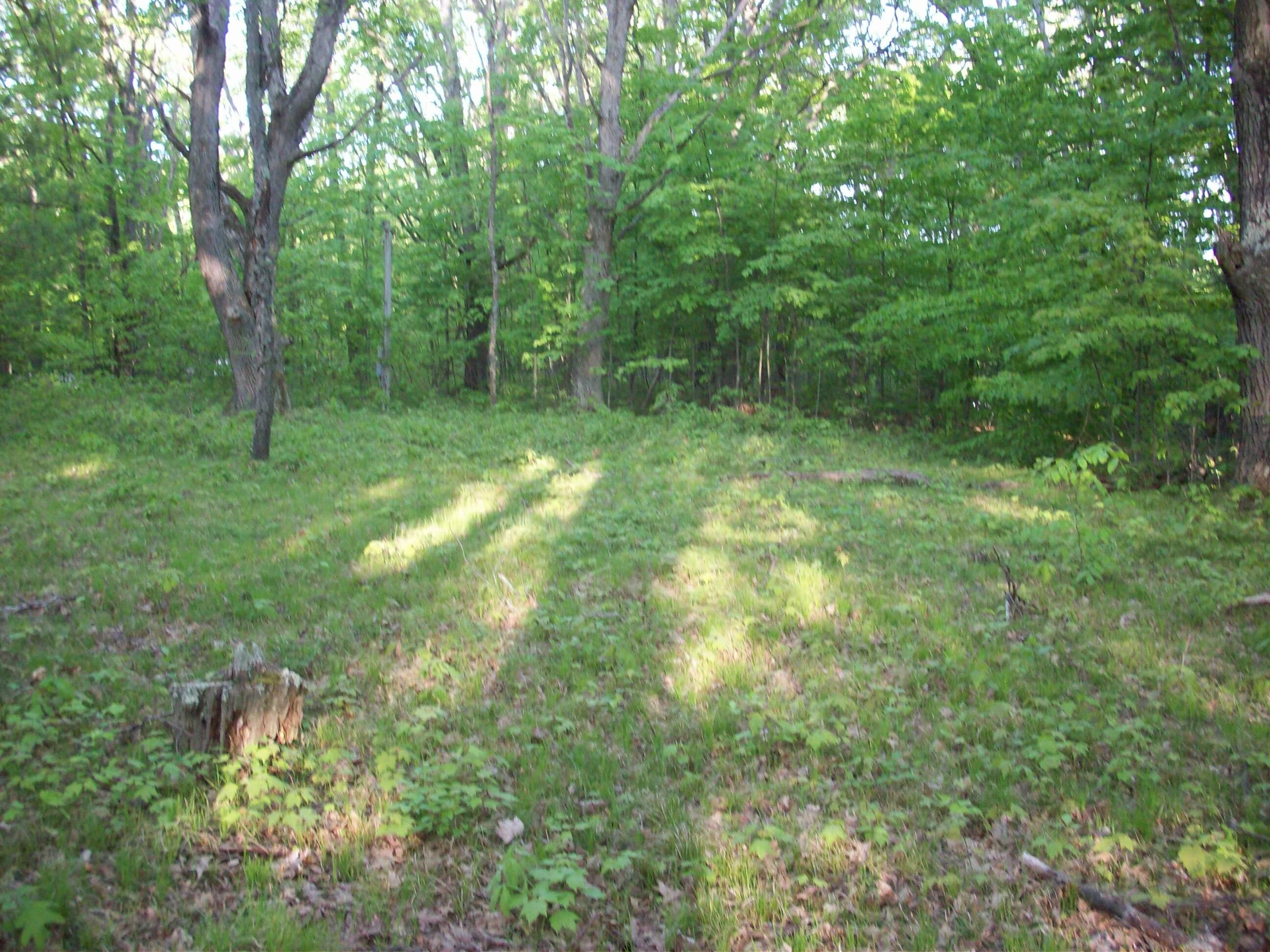 25-26 East Barx Road Chase, MI 49623 - Photo 6 of 9 100_6168