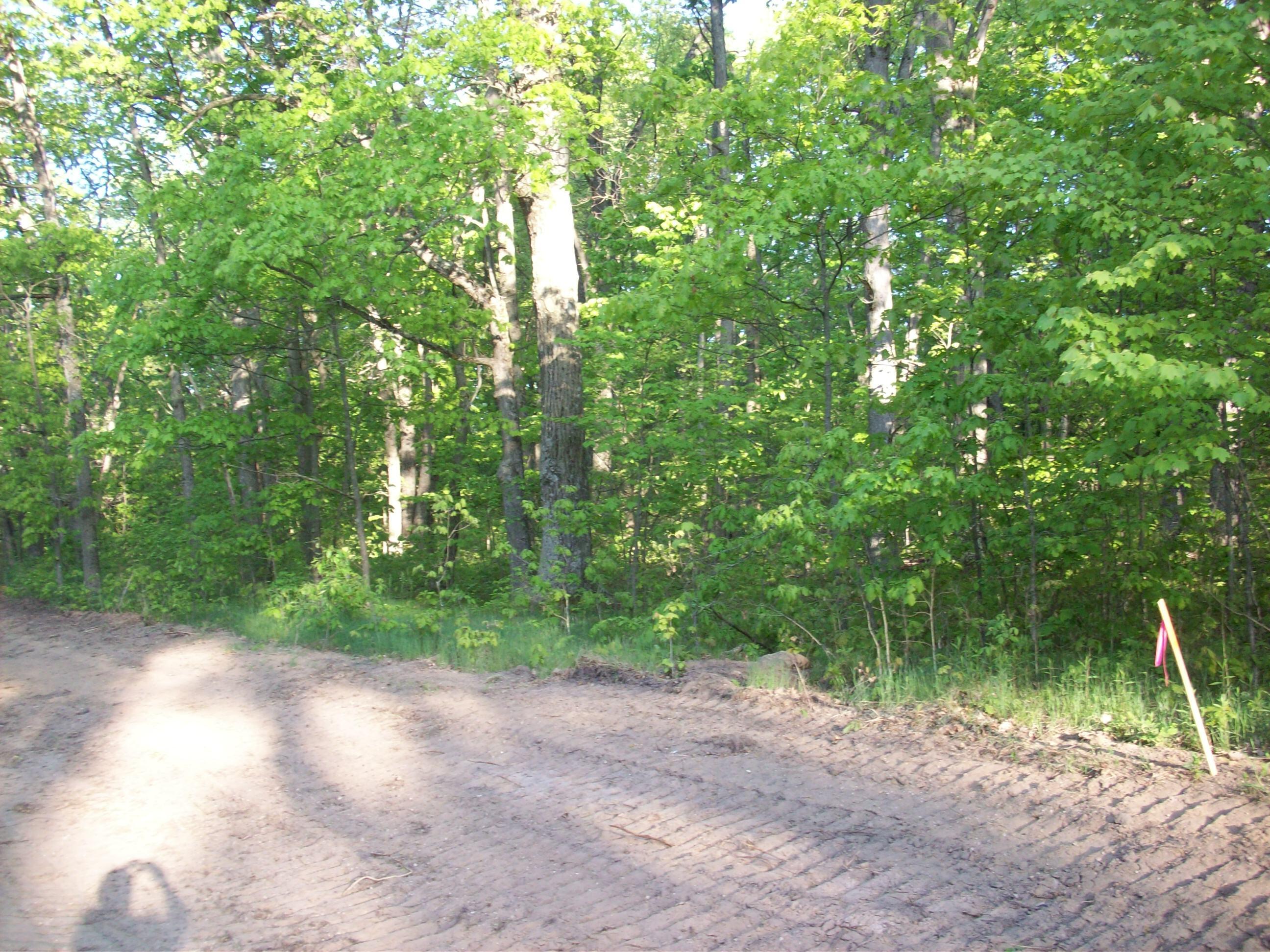 25-26 East Barx Road Chase, MI 49623 - Photo 8 of 9 100_6166