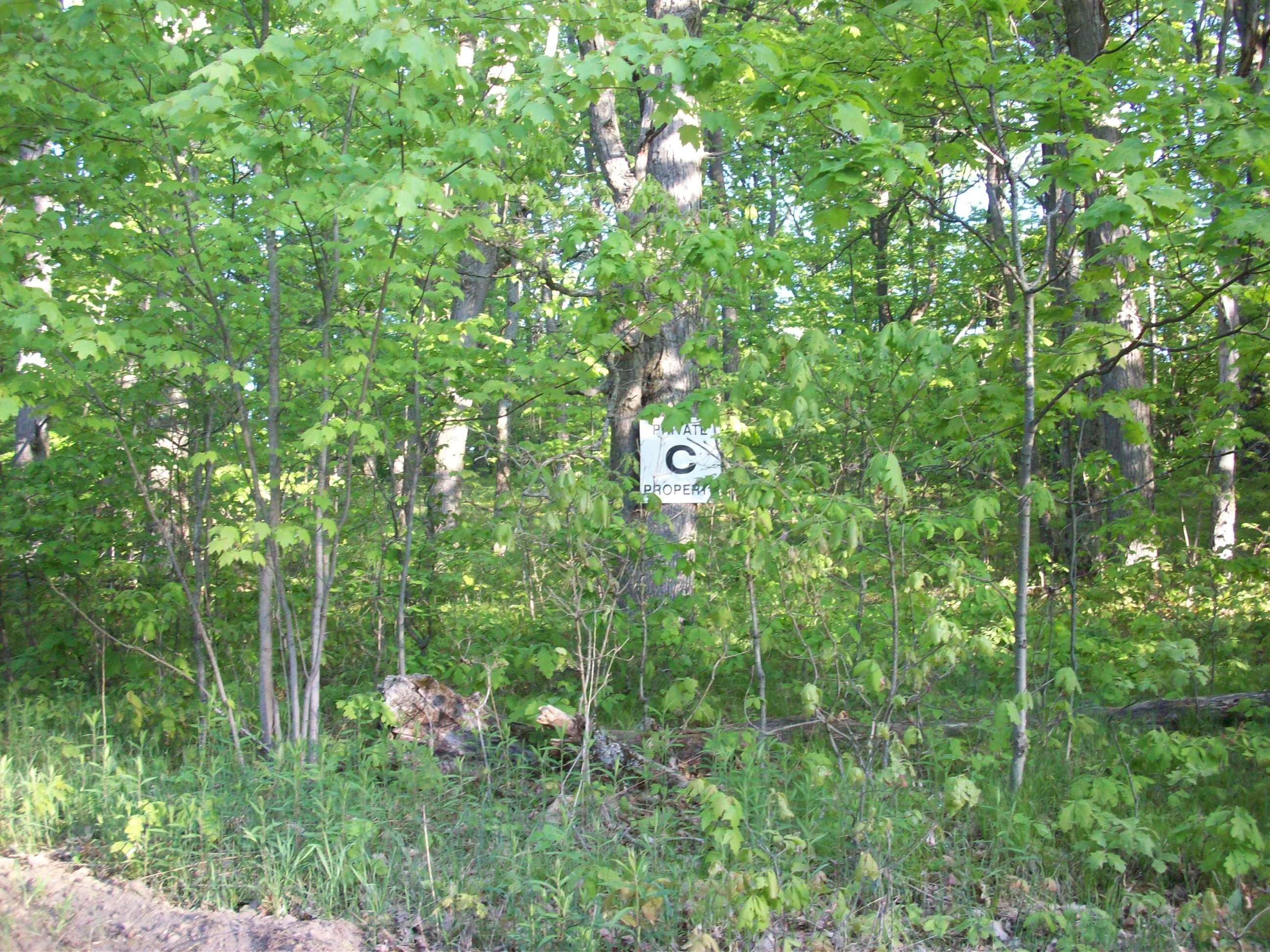 25-26 East Barx Road Chase, MI 49623 - Photo 9 of 9 100_6165