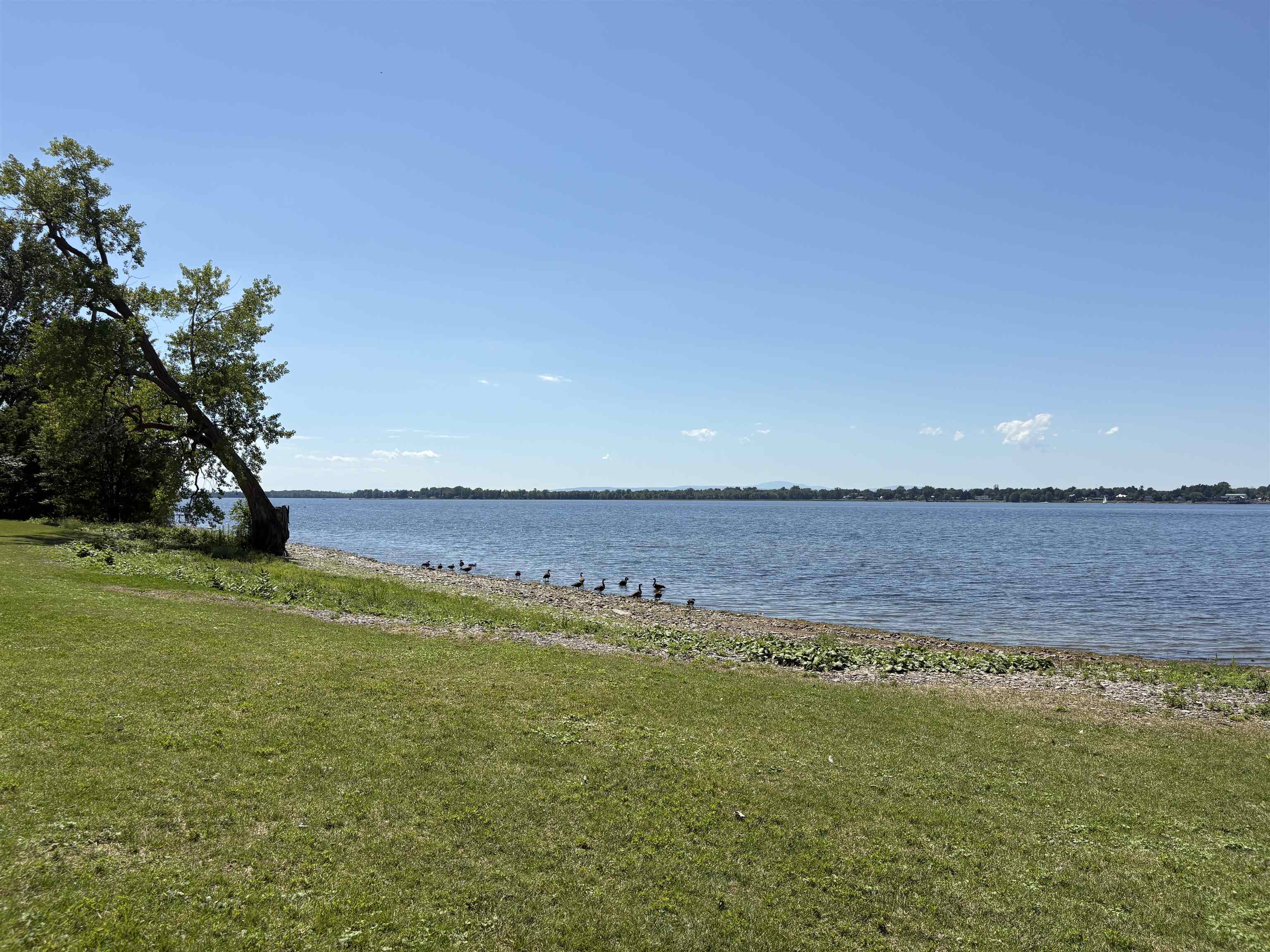 1194 Windmill Point Road Alburgh, VT 05440 - Photo 42 of 53 Gallery Image 42