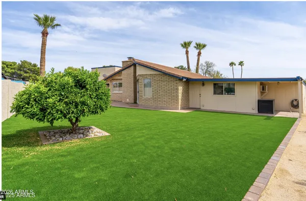 a view of a backyard