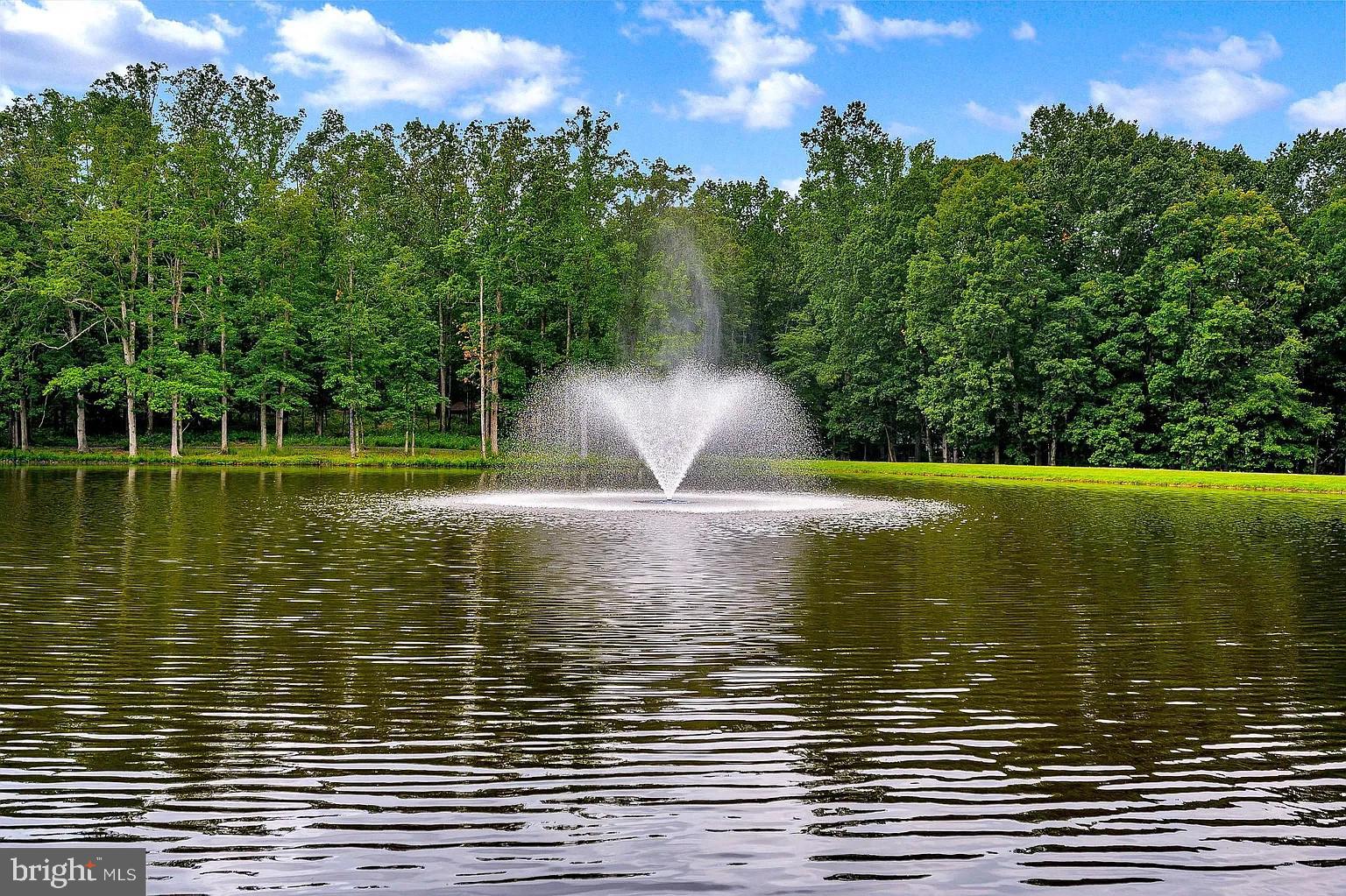309 Liberty Boulevard Locust Grove, VA 22508 - Photo 38 of 42 a view of a lake view