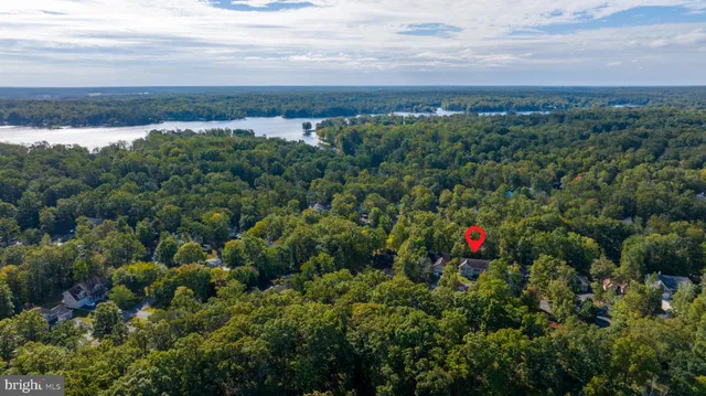 a view of a houses with a lush green forest