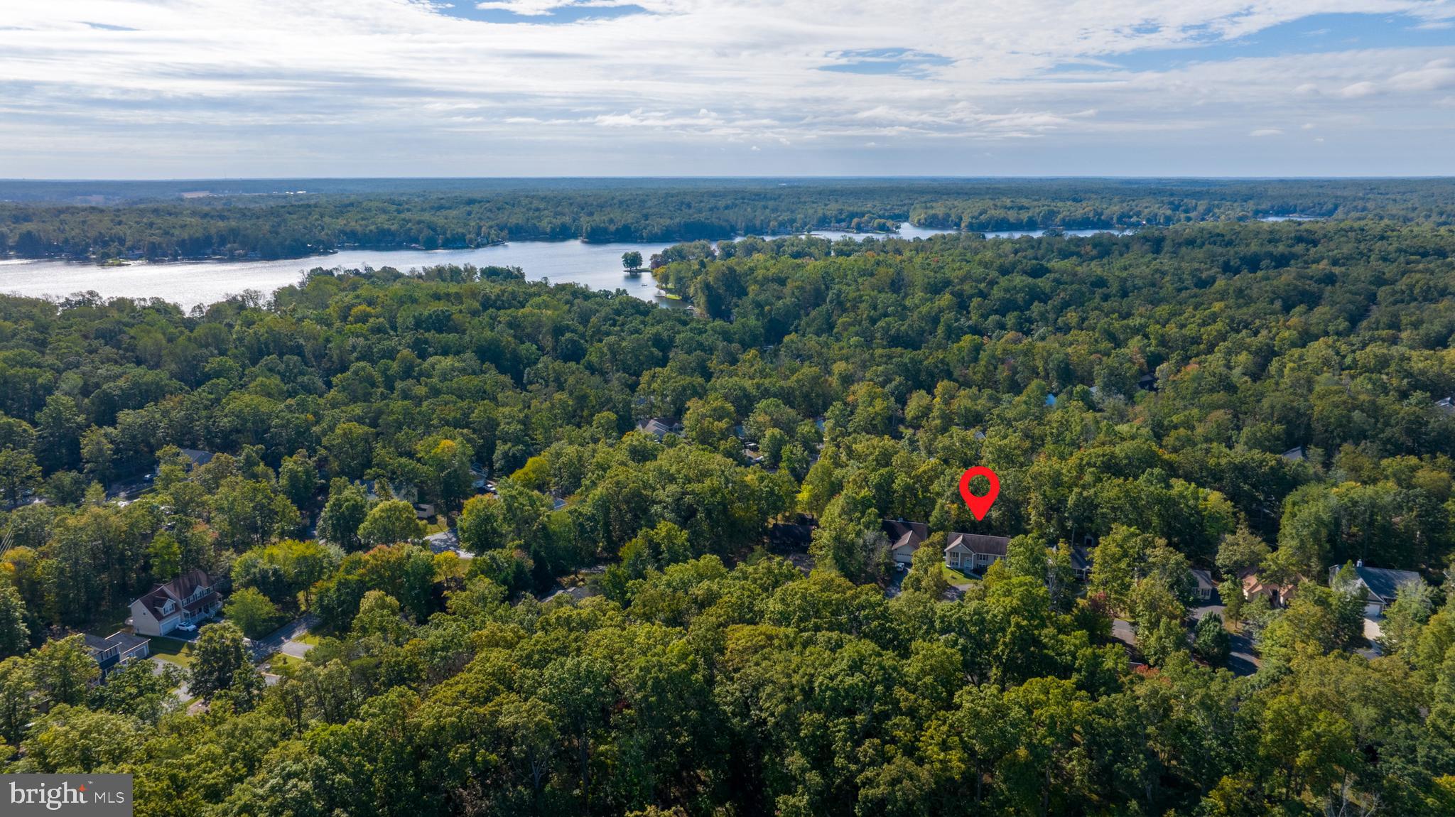 309 Liberty Boulevard Locust Grove, VA 22508 - Photo 42 of 42 a view of a houses with a lush green forest