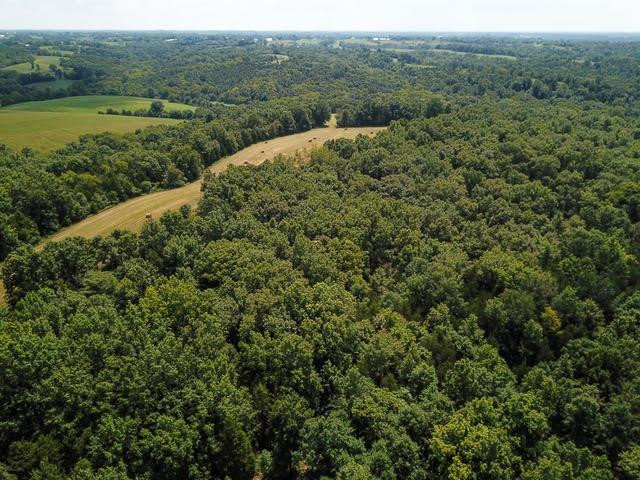 2800 Lawrenceville Road Corinth, KY 41010 - Photo 56 of 61 Photo 56