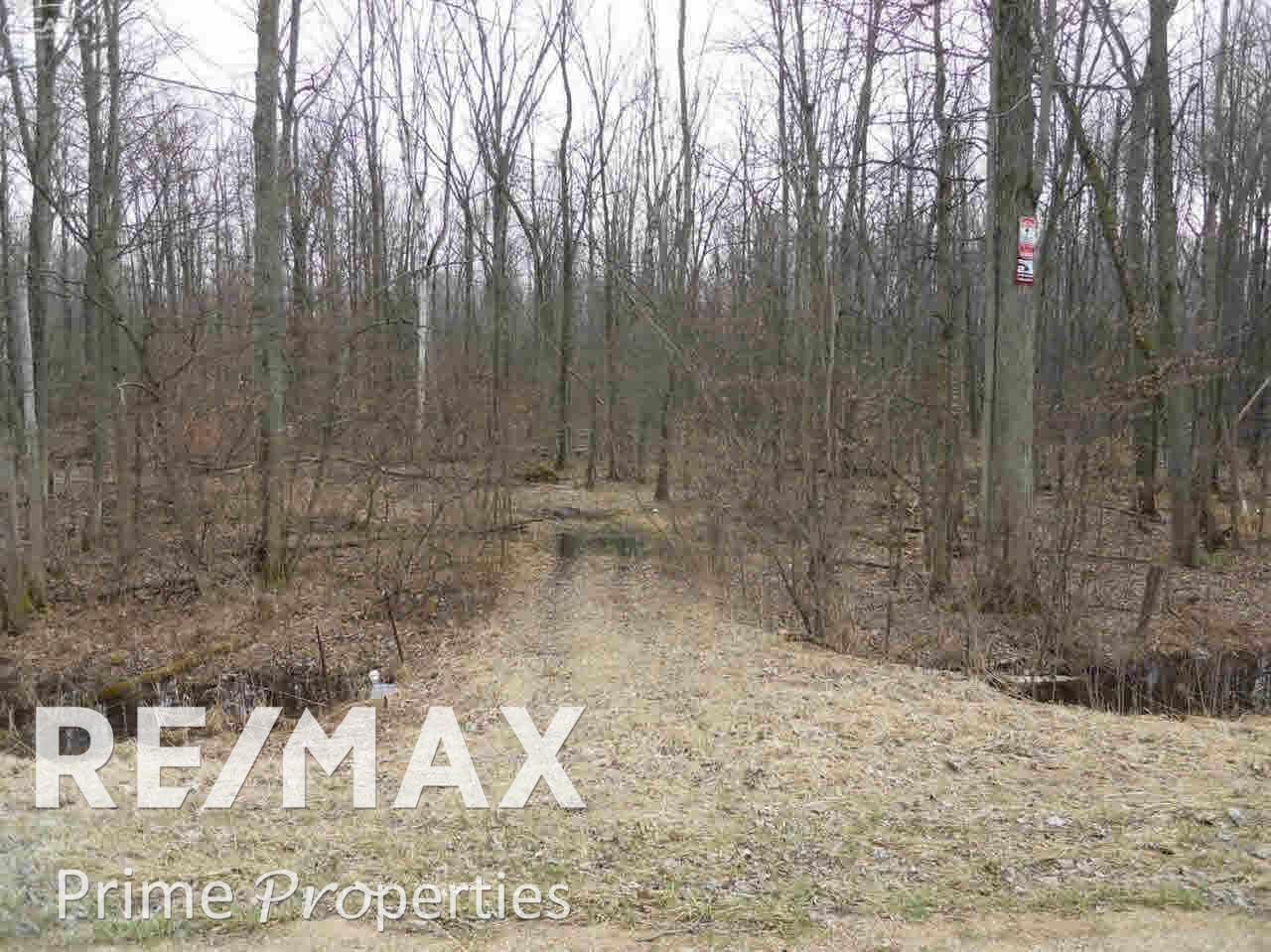 0 Ormes Road Millington, MI 48746 - Photo 4 of 7