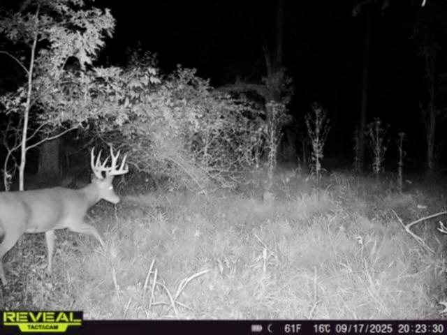 V/l South Chapin Road Elsie, MI 48831 - Photo 11 of 20