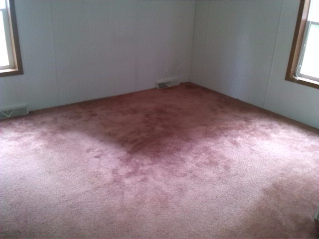 2006 Henderson Road Macon, GA 31217 - Photo 6 of 8 Additional Photo