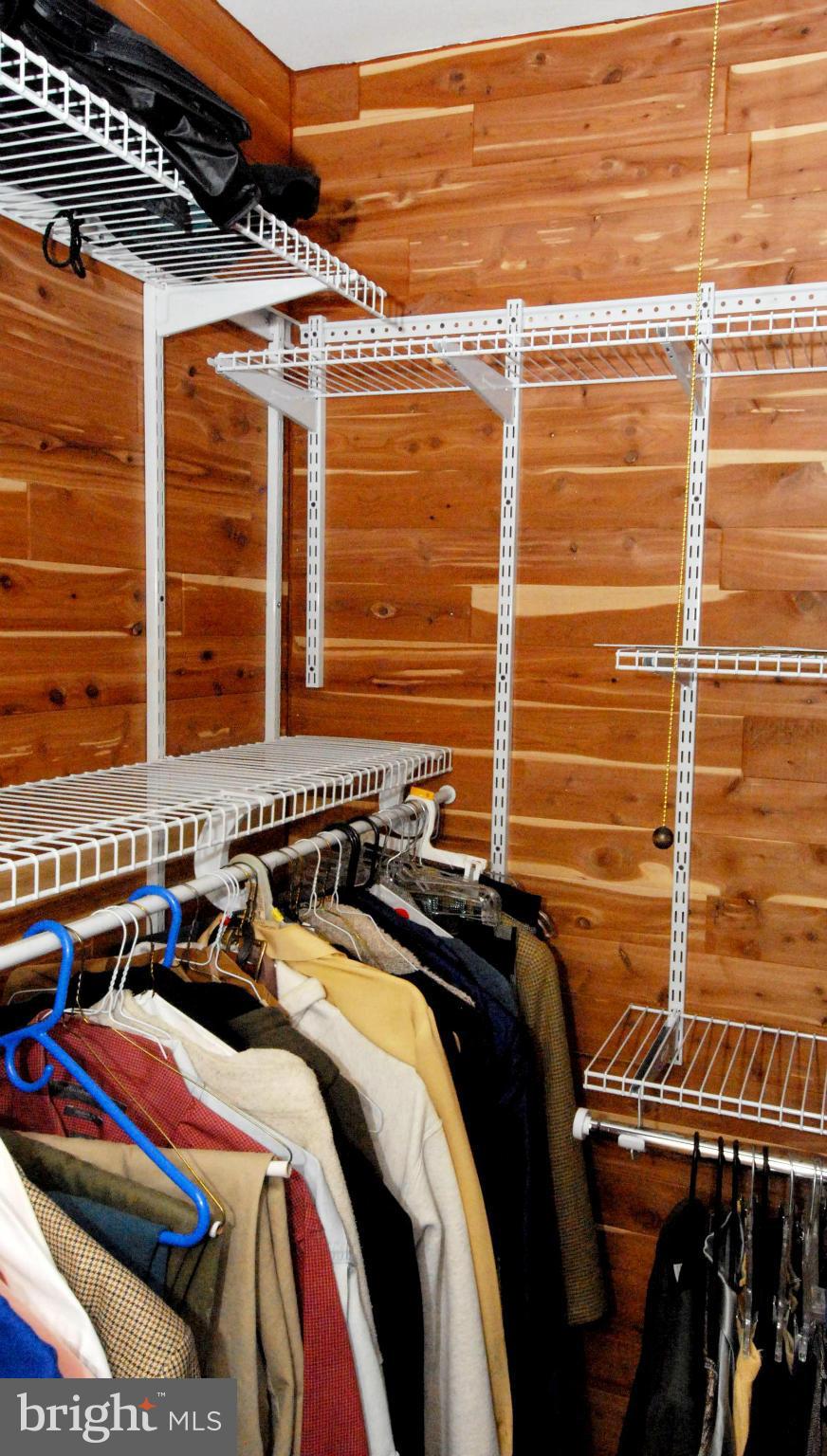 19 Hamill Road, Unit 19F Baltimore, MD 21210 - Photo 13 of 20 Walk-in Cedar Closet