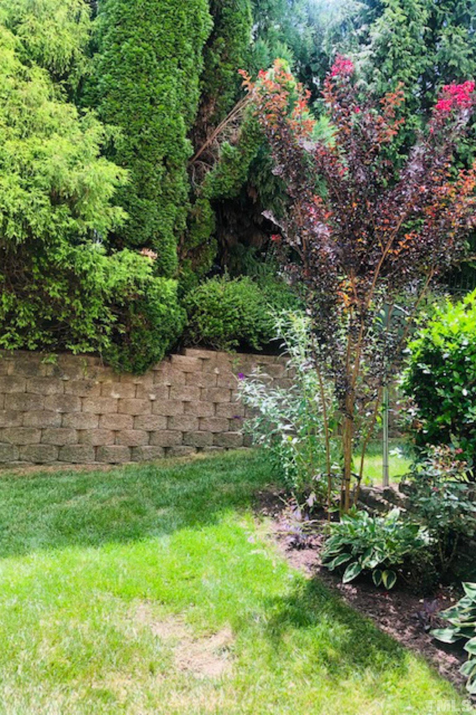 5804 Cameo Glass Way Raleigh, NC 27612 - Photo 23 of 25 a view of a backyard with plants and large trees