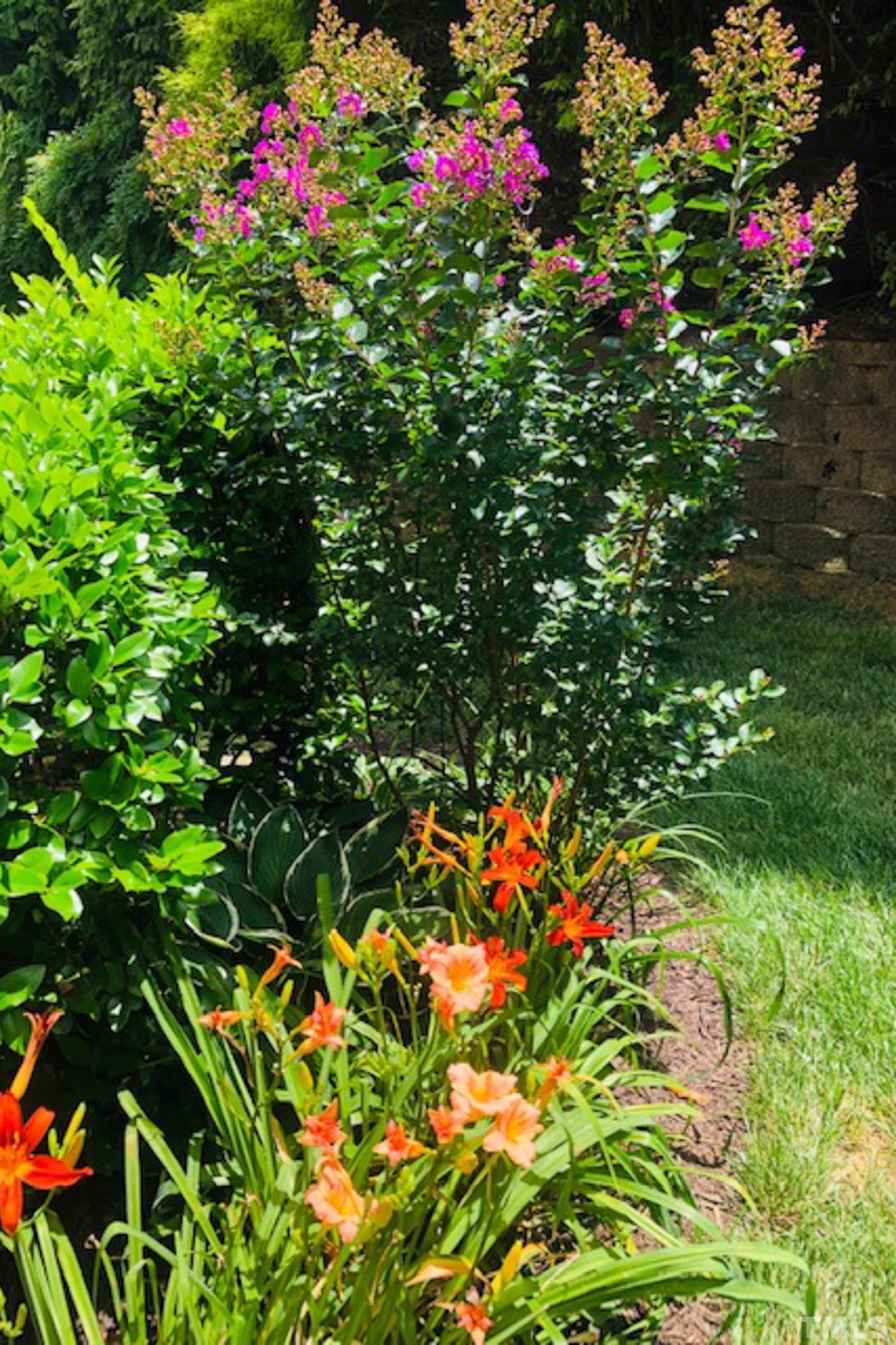 5804 Cameo Glass Way Raleigh, NC 27612 - Photo 24 of 25 a picture of flowers