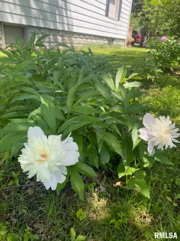 $154,900 | 506 South 20th Street, Murphysboro, IL 62966