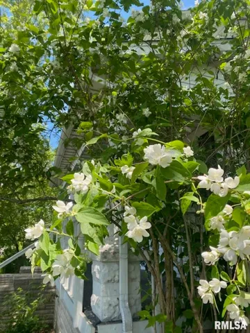 $154,900 | 506 South 20th Street, Murphysboro, IL 62966