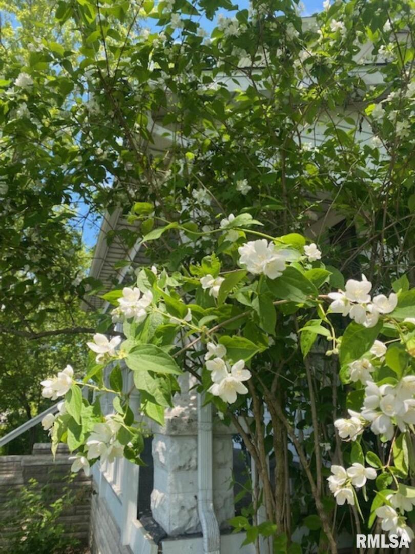 506 South 20th Street Murphysboro, IL 62966 - Photo 28 of 31