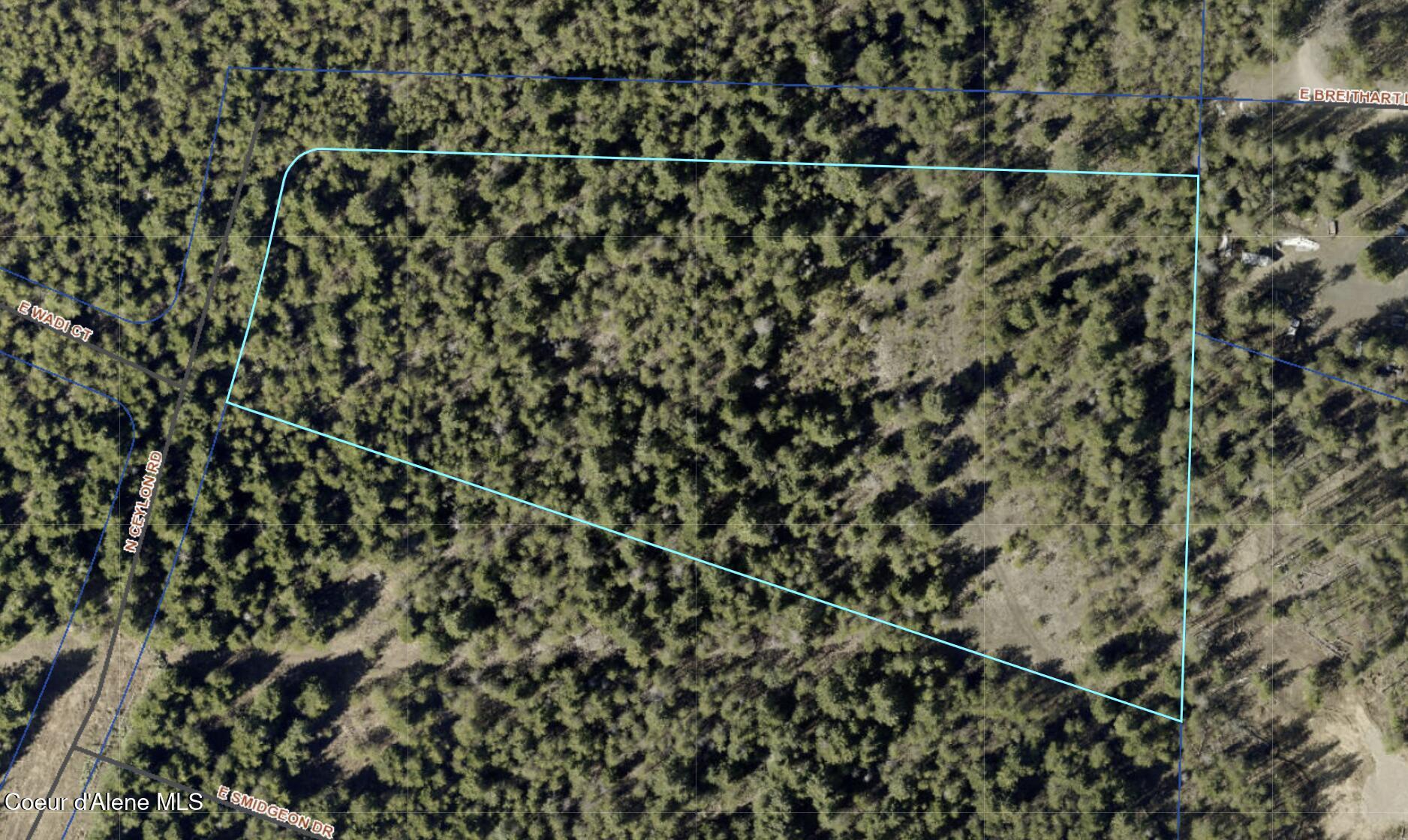 23656 North Ceylon Road Rathdrum, ID 83858 - Photo 4 of 5 Aerial Map-Close