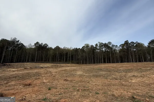 $250,000 | 0 Royston Bypass, Royston, GA 30662