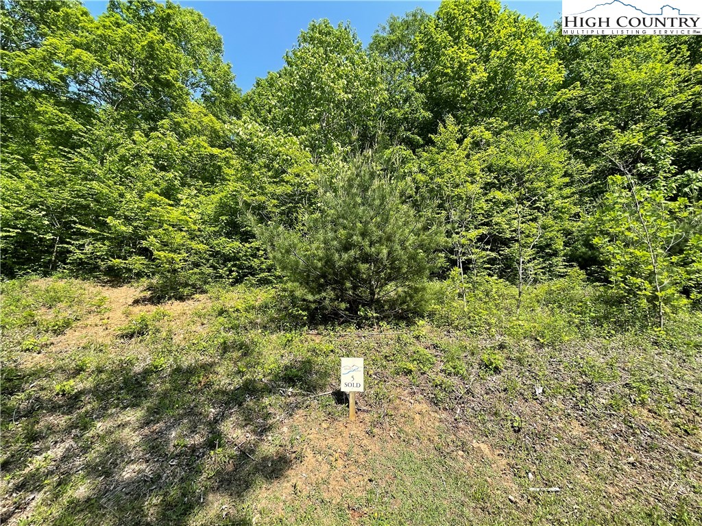 Lot 5 Granite Ridge Jefferson, NC 28640 - Photo 4 of 10