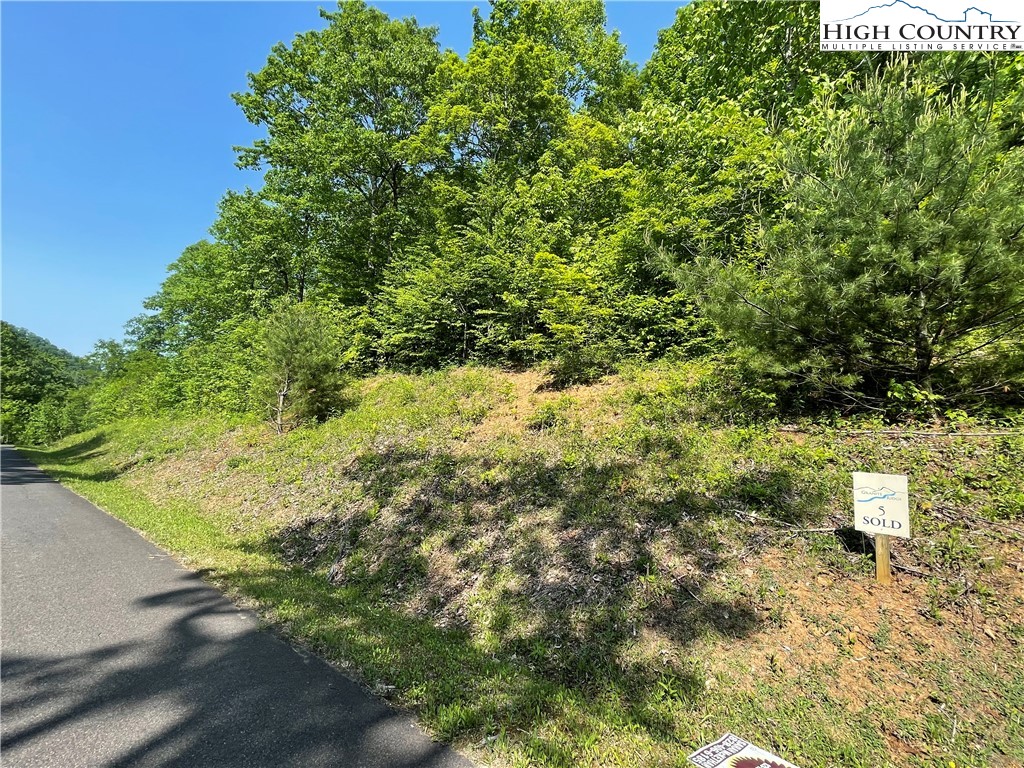 Lot 5 Granite Ridge Jefferson, NC 28640 - Photo 5 of 10