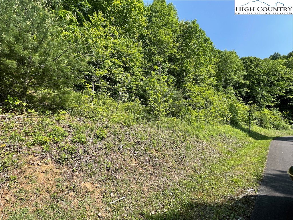 Lot 5 Granite Ridge Jefferson, NC 28640 - Photo 6 of 10