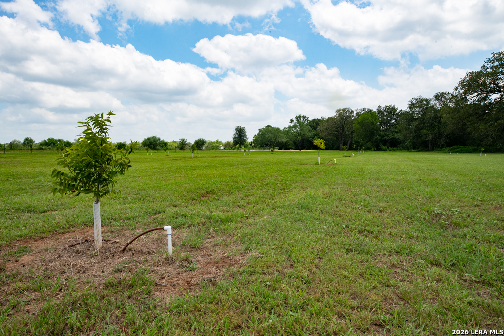1393 Fox Trotter Road Seguin, TX 78155 - Photo 26 of 46