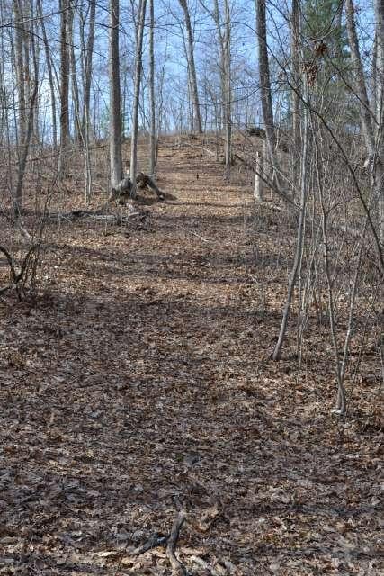 204 Brush Road Lewisburg, WV 24901 - Photo 31 of 60 Gallery Image 31