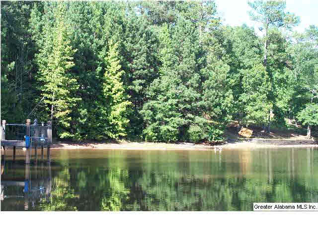 263 County Road 263, Unit 2 PARCLS Lineville, AL 36266 - Photo 2 of 14