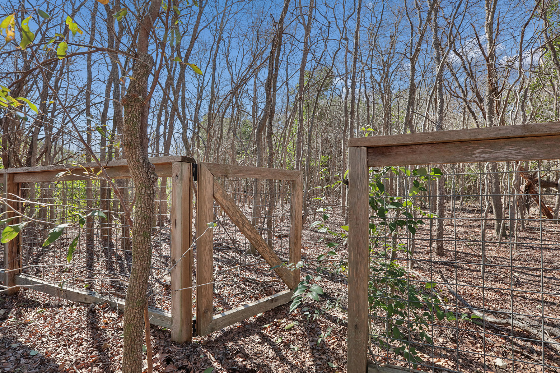 5603 Harold Court Austin, TX 78721 - Photo 21 of 31 a view of a pathway with a tree