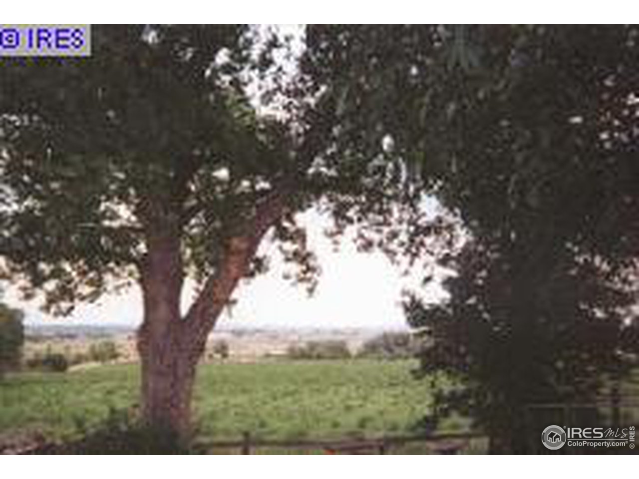 5160 Nelson Road Longmont, CO 80503 - Photo 3 of 3 Gallery Image 3
