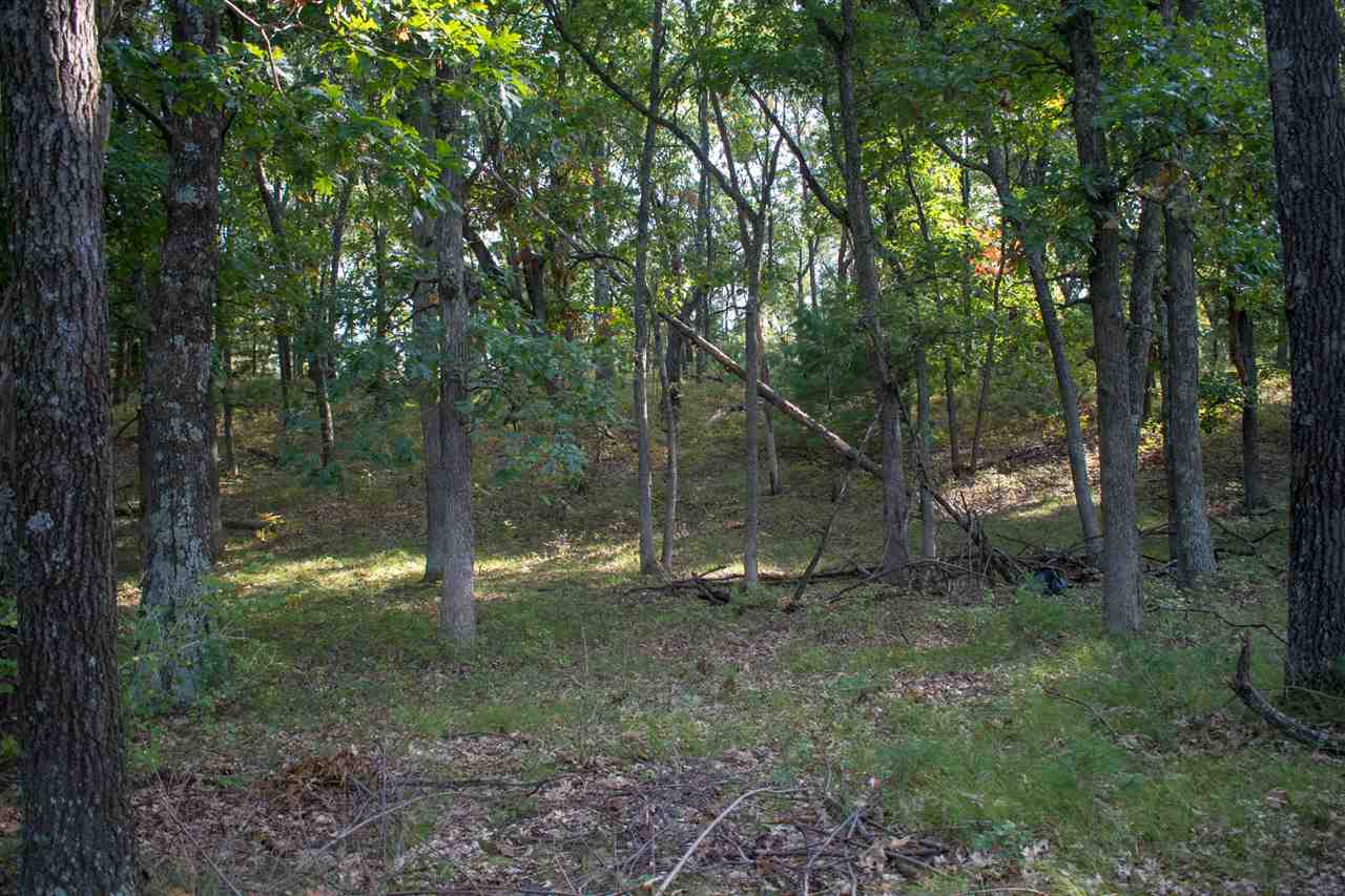 N7123 Timber Rdg Lane New Lisbon, WI 53950 - Photo 8 of 13