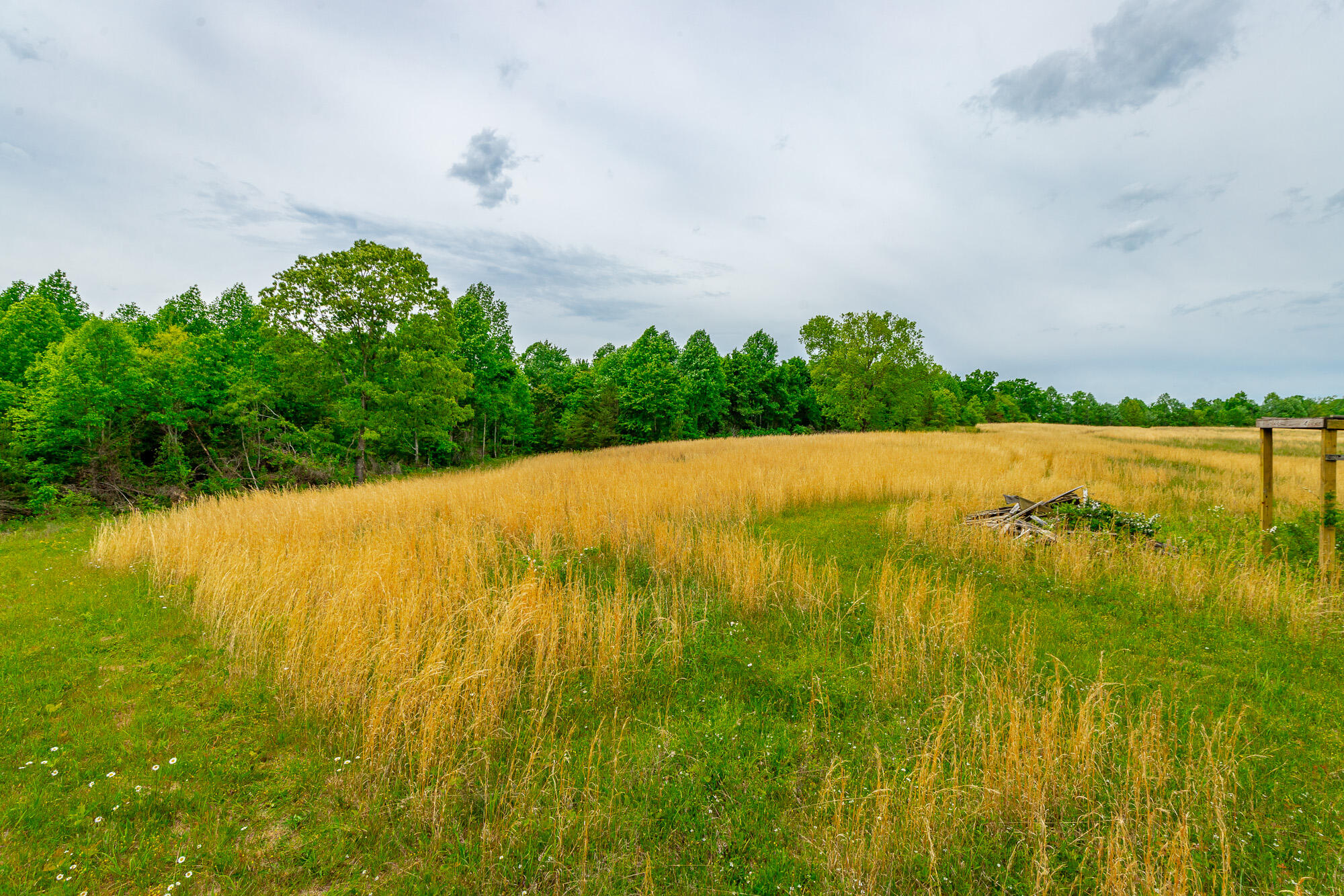 0 Ray Gadd Road Graysville, TN 37338 - Photo 86 of 109 Ray Gadd Road Lot HD-31