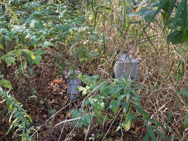 $130,000 | 56694 Williams Lane, Sandstone, MN 55072