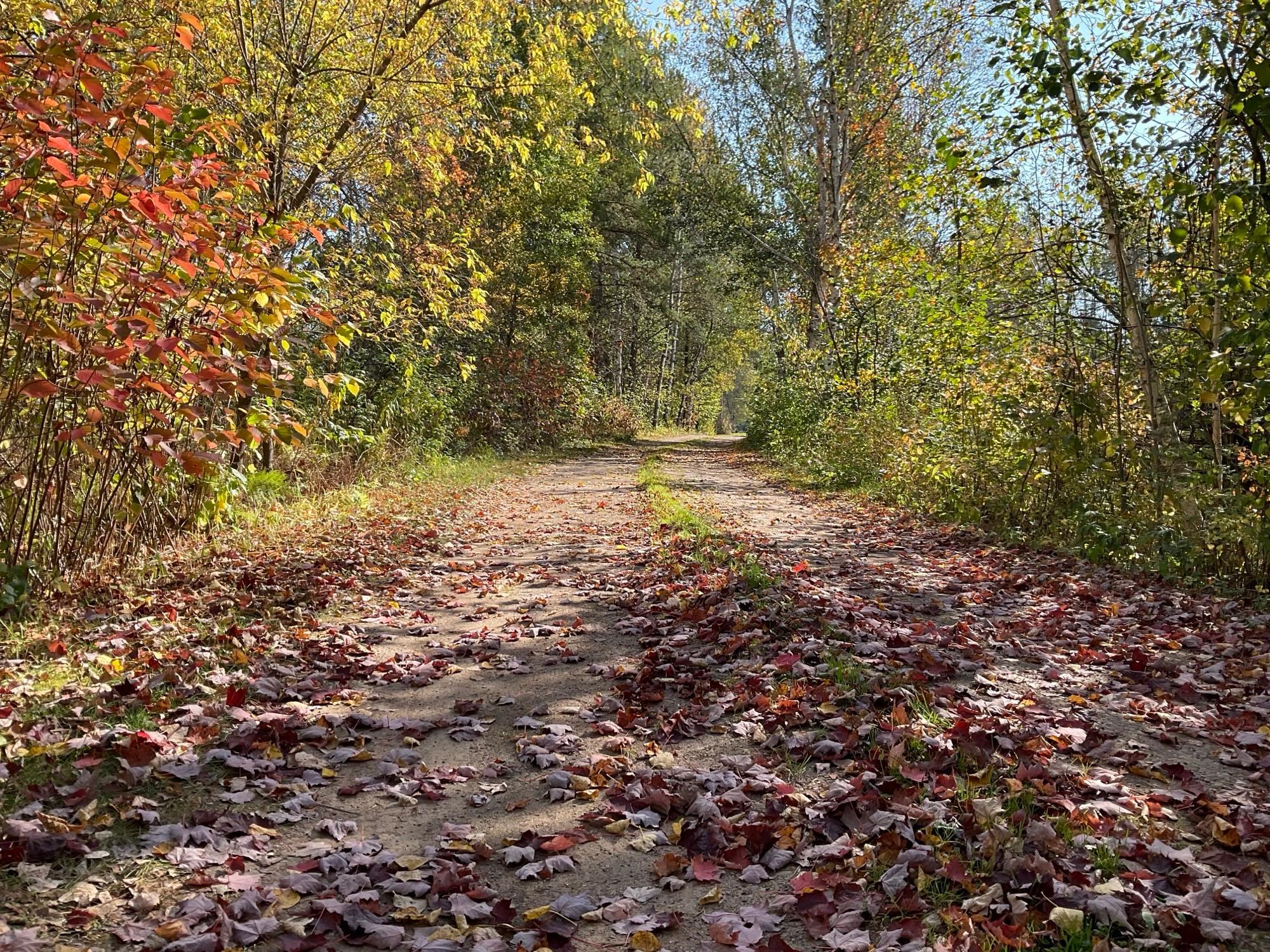 56694 Williams Lane Sandstone, MN 55072 - Photo 2 of 29