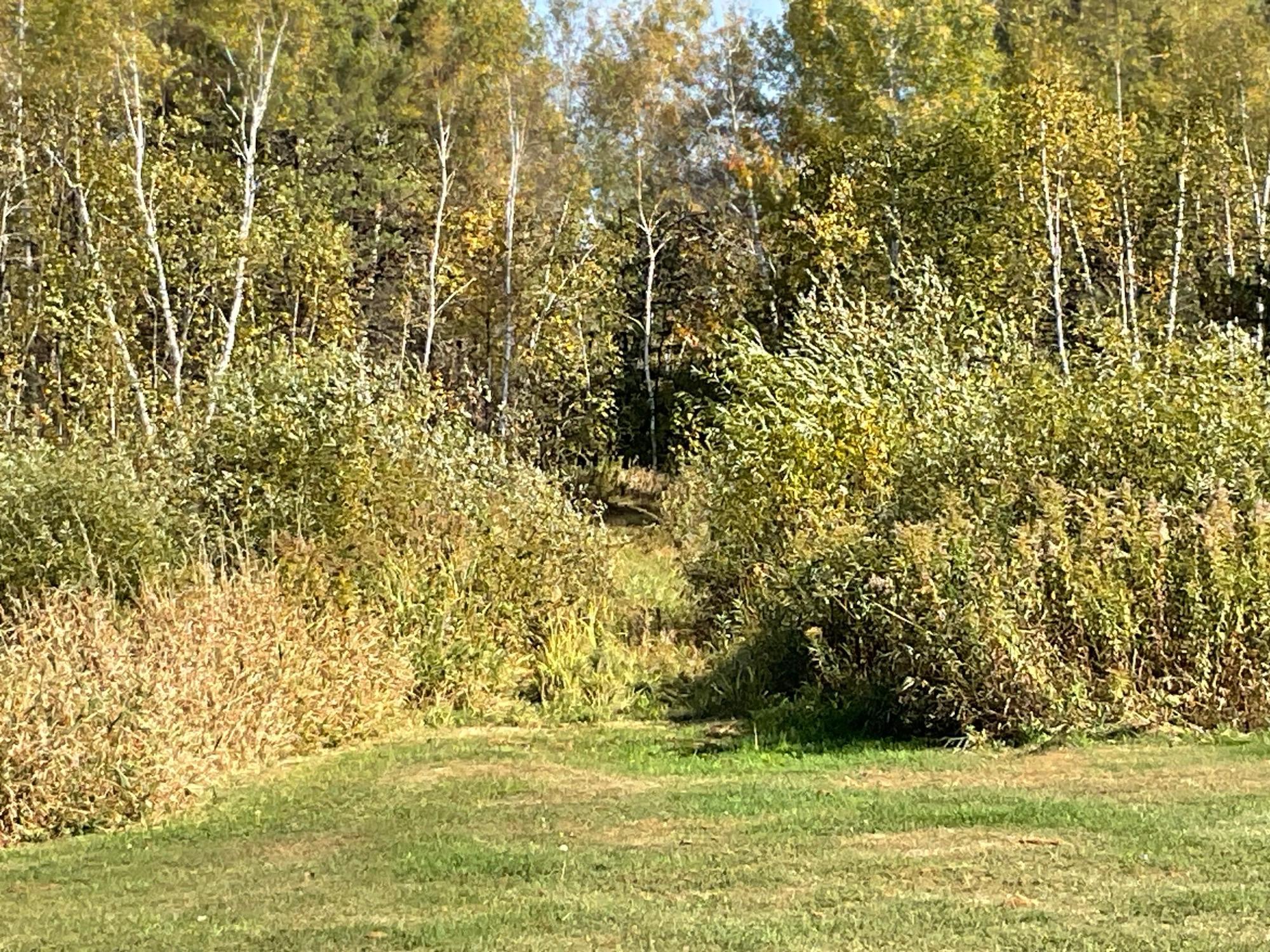 56694 Williams Lane Sandstone, MN 55072 - Photo 27 of 29