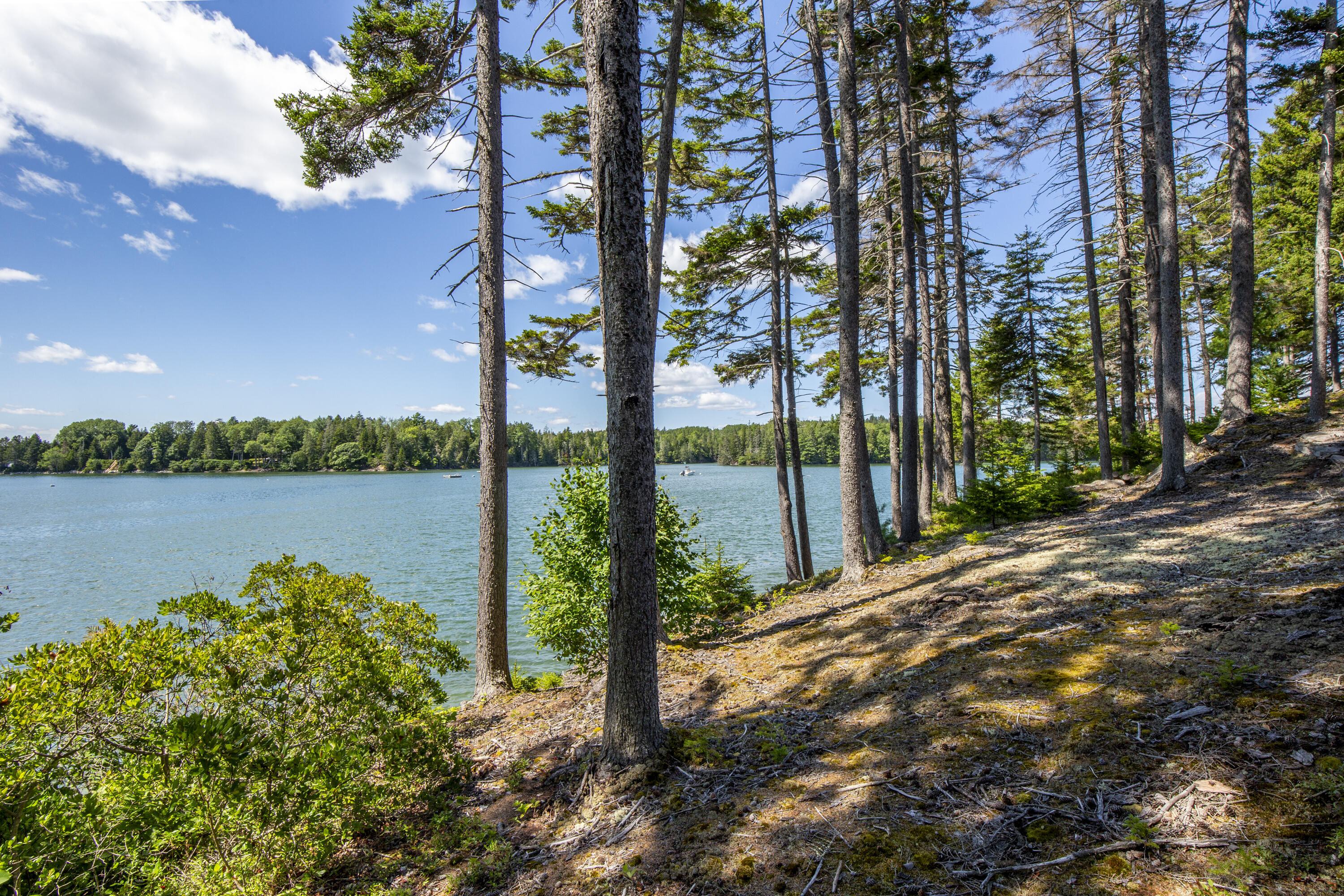 54 Ocean Ridge Road Cushing, ME 04563 - Photo 53 of 58 View