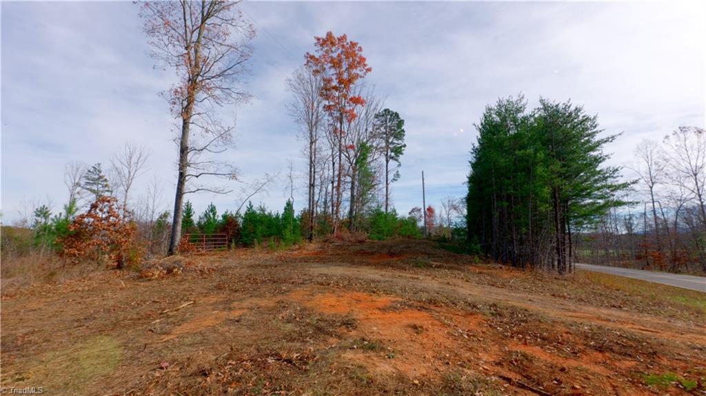 2100 Forrest Road Westfield, NC 27053 - Photo 24 of 43 Gallery Image 24