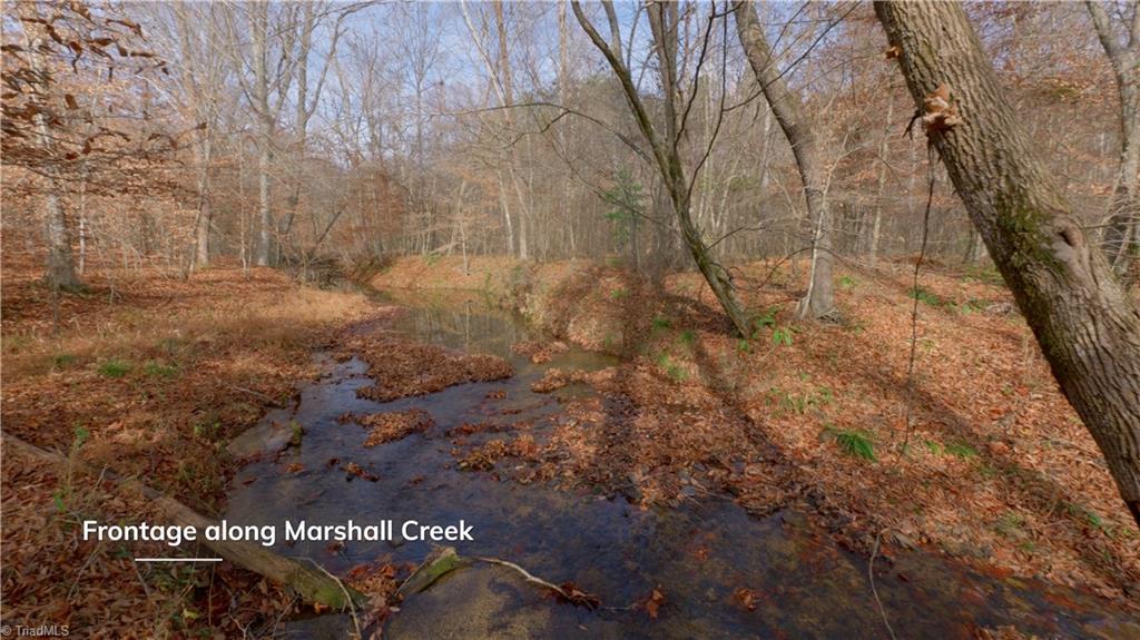 2100 Forrest Road Westfield, NC 27053 - Photo 4 of 43 Gallery Image 4
