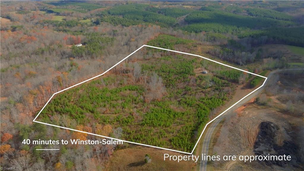2100 Forrest Road Westfield, NC 27053 - Photo 6 of 43 Gallery Image 6
