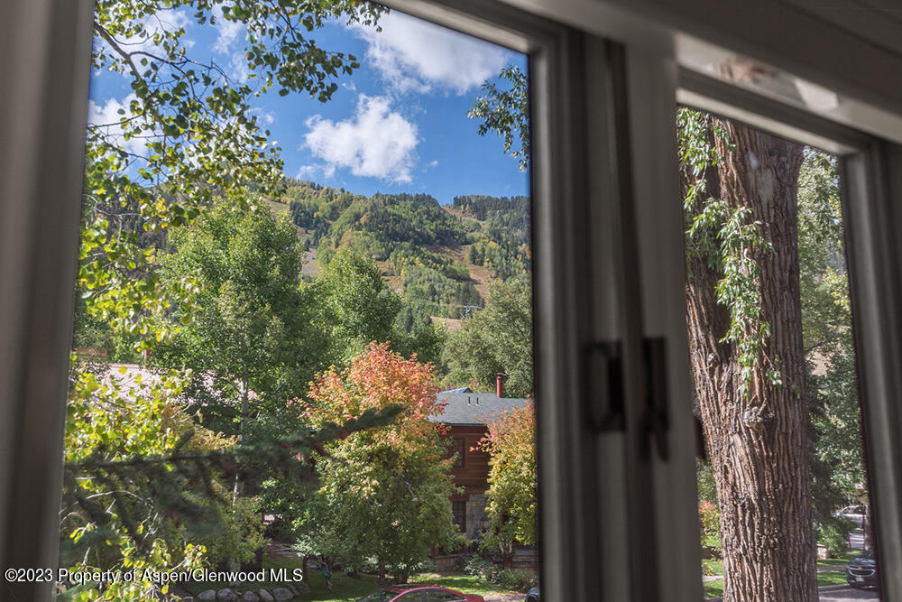 900 East Durant Avenue, Unit 116 Aspen, CO 81611 - Photo 19 of 19 a view of a window