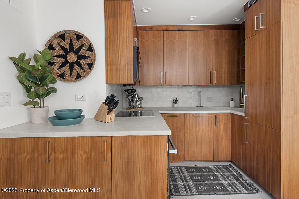 900 East Durant Avenue, Unit 116 Aspen, CO 81611 - Photo 9 of 19 a room with a window and potted plant