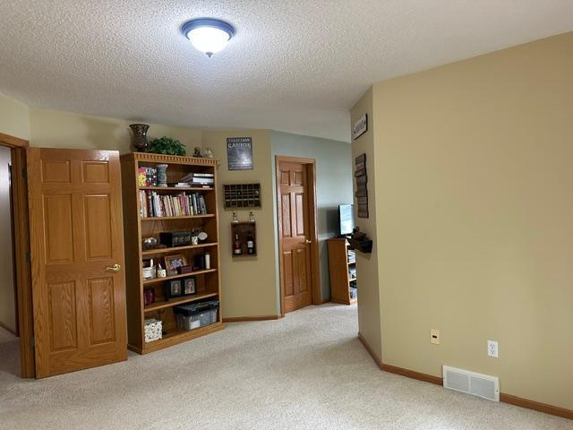 37807 Loon Drive Cohasset, MN 55721 - Photo 19 of 58