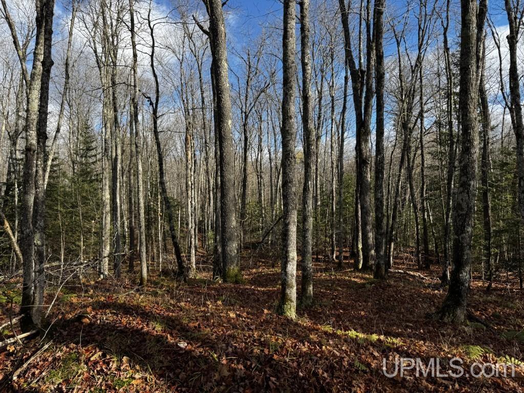 Tbd Tbd Herman Nestoria Road Lanse, MI 49946 - Photo 22 of 25