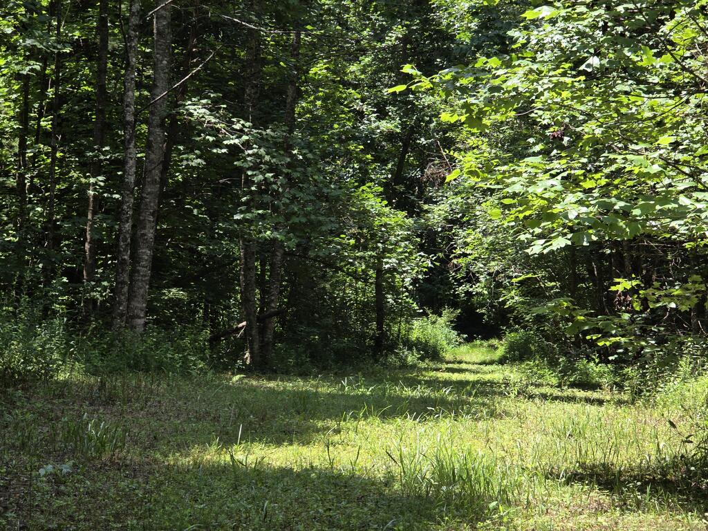 34.98 Hall Road Farner, TN 37333 - Photo 23 of 45 Gallery Image 23
