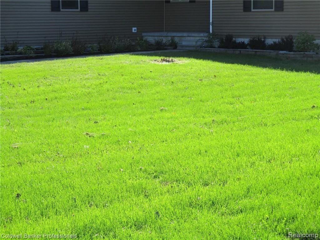 5154 South Byron Road Durand, MI 48429 - Photo 52 of 56 FRONT YARD (2).JPG