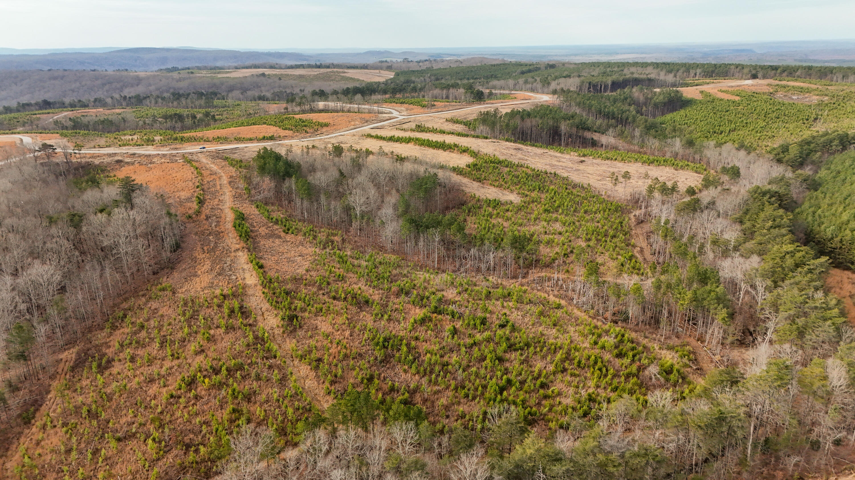 0 State Rt 399 Dunlap, TN 37327 - Photo 10 of 14 Longview-8