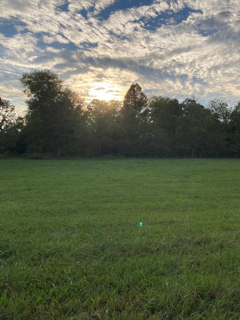 1750 Southeast Hunt Road Cleveland, TN 37323 - Photo 33 of 59